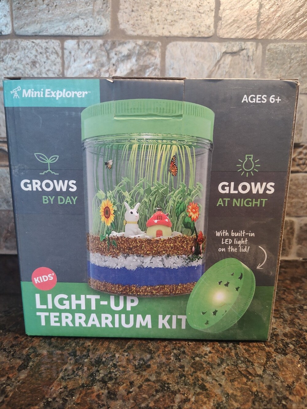 Mini Explorer Light-Up Terrarium Kit - Grows And Glows - Picture 1 of 4
